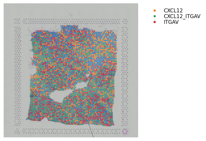 ../_images/tutorials_cell_cell_interaction_38_0.png