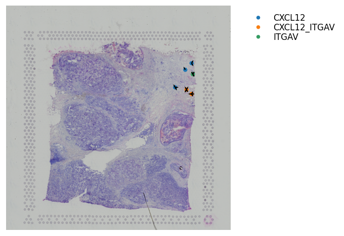 ../_images/tutorials_cell_cell_interaction_45_0.png