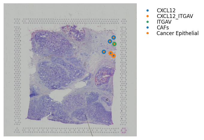 ../_images/tutorials_cell_cell_interaction_47_0.png