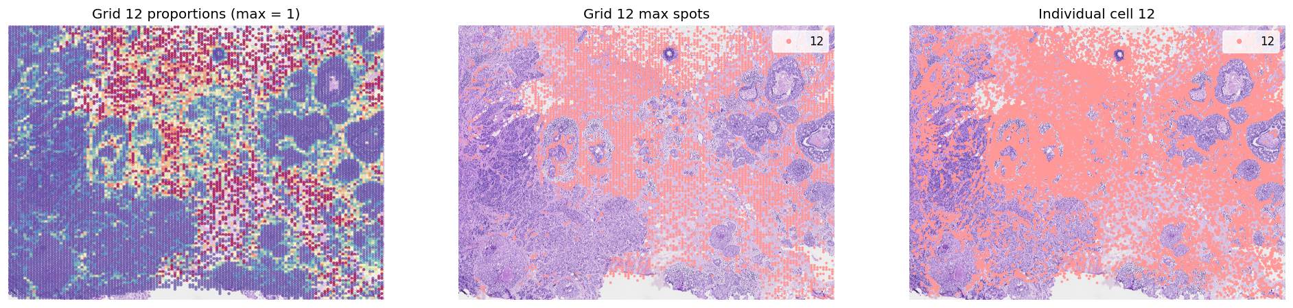 ../_images/tutorials_cell_cell_interaction_xenium_21_0.png