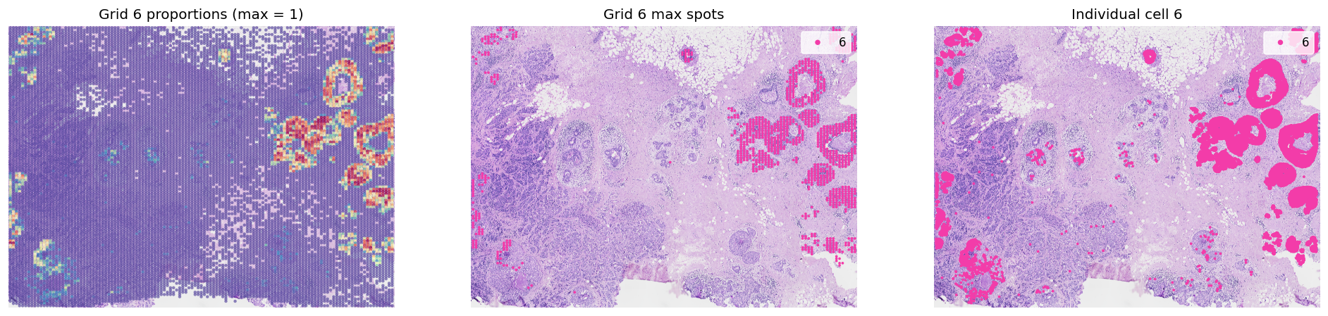 ../_images/tutorials_cell_cell_interaction_xenium_21_1.png