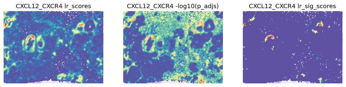 ../_images/tutorials_cell_cell_interaction_xenium_31_0.png
