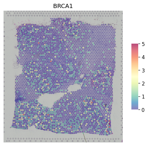 ../_images/tutorials_core_plots_14_1.png