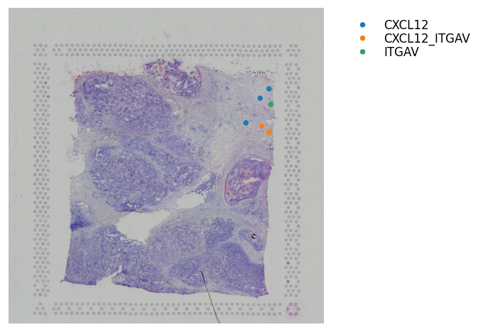../_images/tutorials_cell_cell_interaction_40_0.png