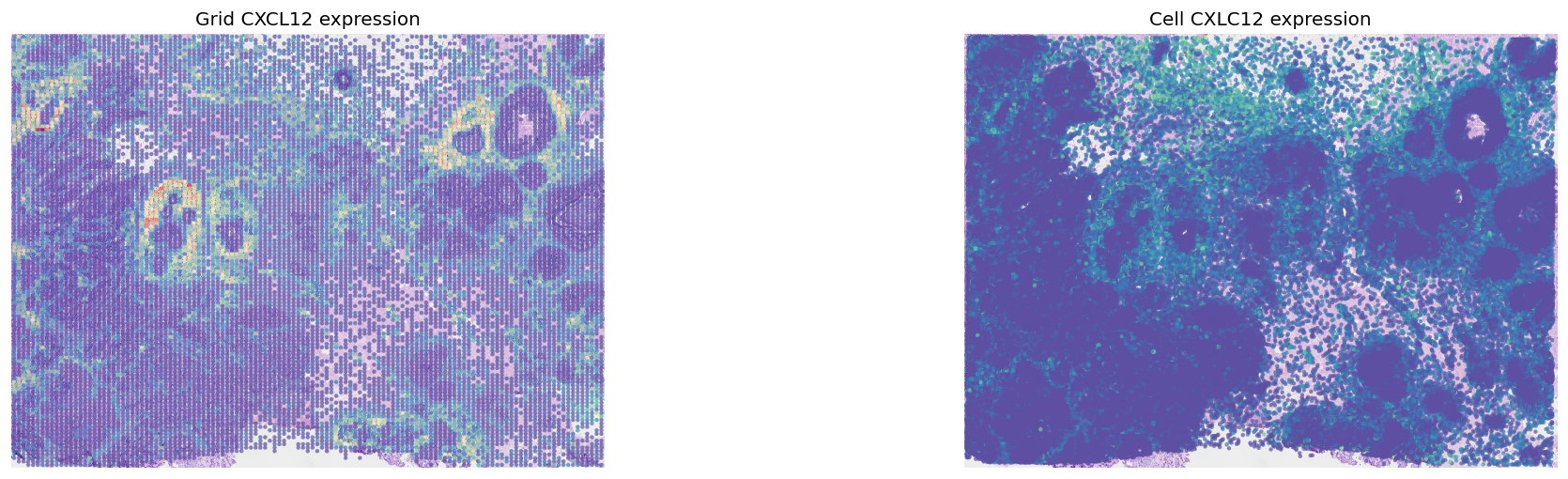 ../_images/tutorials_cell_cell_interaction_xenium_22_0.png
