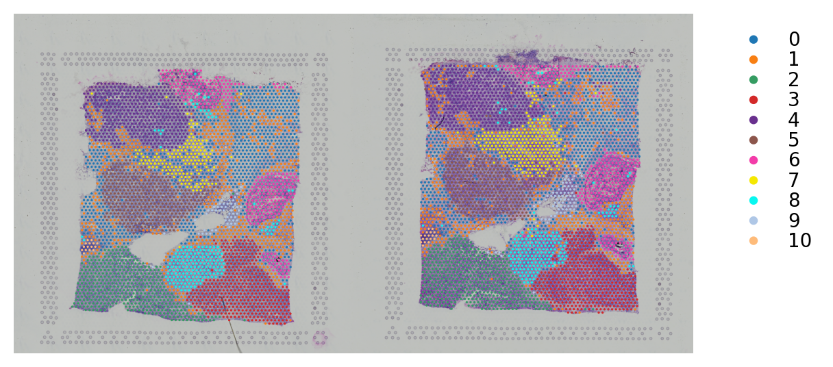 ../_images/tutorials_integrate_multiple_datasets_32_1.png