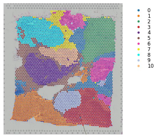 ../_images/tutorials_pseudotime_space_12_2.png